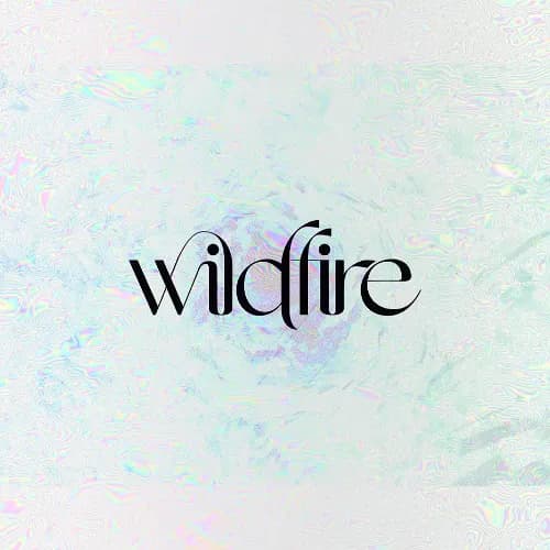 RUFUS DU SOL - Wildfire (Subthesia Remix) on SoundCloud